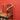 Vintage Chinese Horseshoe - Back Chair – Yoke - Back Official’s Hat with Carving. B12611 | Bazaa | Vintage, Designer and Antique Interiors
