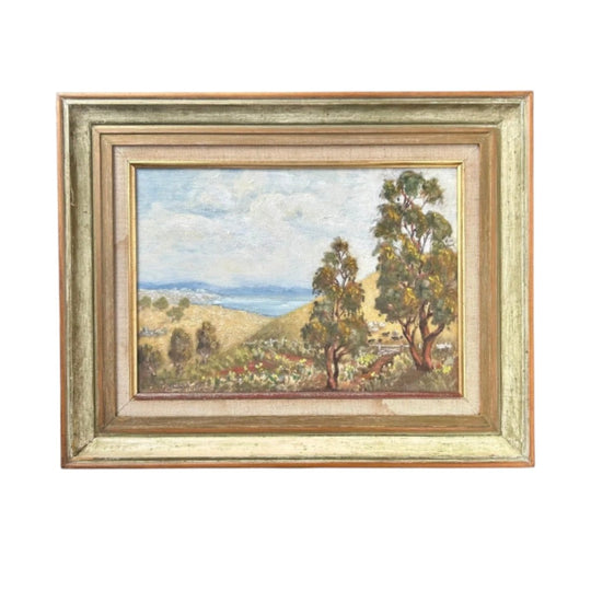 Vintage FLINDERS RANGERS landscape oil painting BARRY MCDERMOTT 1970's AUSTRALIA