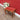 Vintage French Oak Dressing Table Stool with Cabriole Legs and Upholstered Seat. B12813 | Bazaa | Designer, Vintage and Antique Furniture