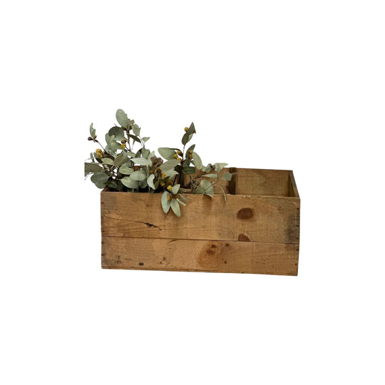 Vintage French Produce Box from the Alps