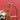 Vintage German Timber Child’s Sleigh by Davos Germina Marked Made in GDR | Bazaa | Designer, Vintage and Antique Furniture