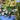 Vintage Moroccan Silver - plated Teapot | Bazaa | Designer, Vintage and Antique Furniture