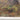 Vintage Oil on Canvas Simon G Foret de Soignes 1986 Gilt Framed Painting. B12720 | Bazaa | Designer, Vintage and Antique Furniture