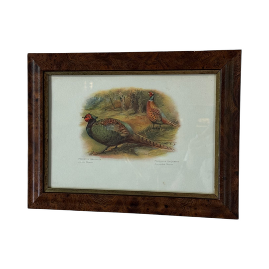 Vintage Burr & Gilt Framed Print of Pheasants